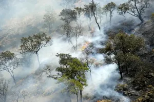 Forest fire trees smoke Jagat Annapurna Region Nepal