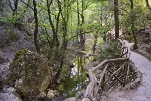A forest path with railings leads along a small stream
