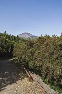 Forest road. Teide volcano in the background