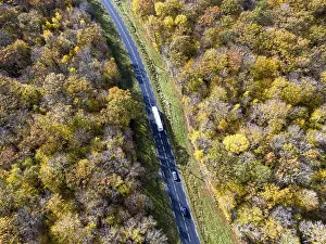 Forest road with white truck during Autumn