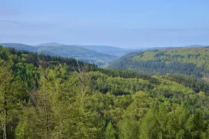 Forest, valley, deciduous forest