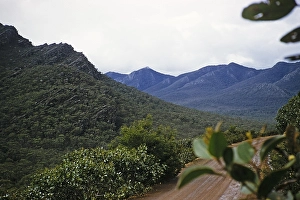 Forested mountain landscape of the Grampians National Park, Victoria, Australia, 1956, Oceania