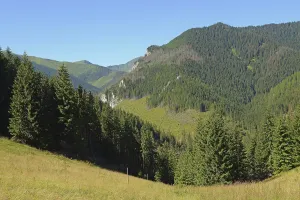 The forests and mountain slopes above Chocholowska glade seen from Jamy glade