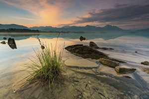 Forggensee with reflection of the cloudy sky and the Allgaeuer mountains in the background at sunrise