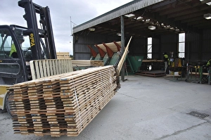 Forklift carries a load of milled timber at a sawmill
