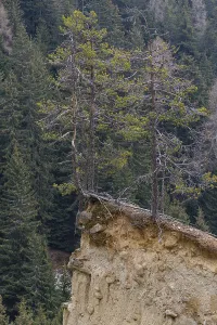 Formation history visible. Earth pyramids located in Platten in the municipality of Percha