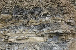 Fossil rock formation, Miguasha National Park