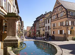 Fountain with goldfish, old town