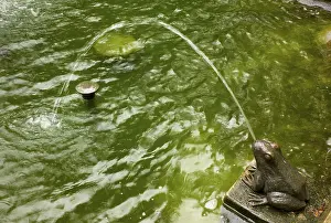 Fountain at Theresienstein with frog motifs