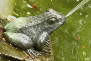 Fountain at Theresienstein with frog motifs