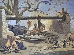 Fountain in Upper Egypt, the water is drawn with the help of an ox