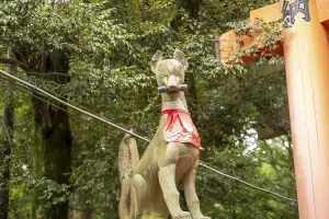 Fox, Fushimi Inari-Taisha, Fushimi, Kyoto, Japan