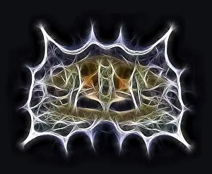 Fractal object
