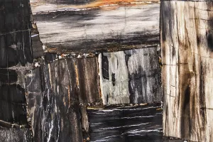 Fragmented wooden abstract with earthy tones and textures