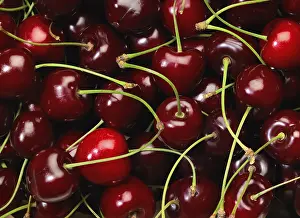 Full frame background showing lots of red cherries