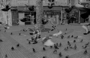 France, Paris, 23.03.1990, in the textile district on the Rue Saint Denis