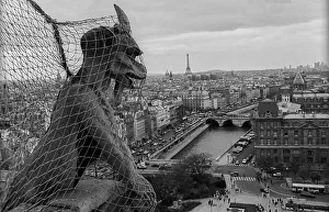 France, Paris, 24.03.1990, mythical creatures on the towers of Notre-Dame