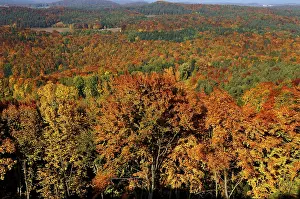 Franconian forest landscape in autumn