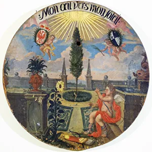 Franconian Museum Feuchtwangen Middle Franconian Bavaria Germany marksman target collection wedding target