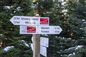Frankischer Gebirgsweg hiking signs pointing towards Schneeberg and Haberste in winter forest