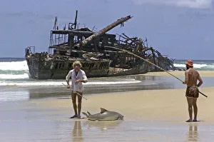 FRASER ISLAND, AUSTRALIA DECEMBER 1982