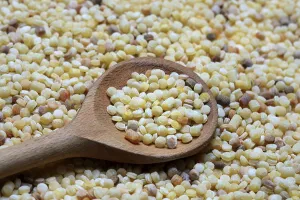 Fregola, pasta variety from Sardinia