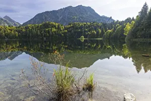 Freibergsee, behind it the Heni-Klopfer ski jump