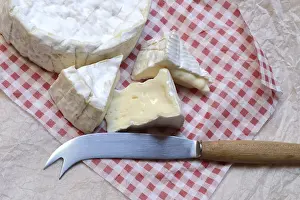 French Camembert in pieces, France