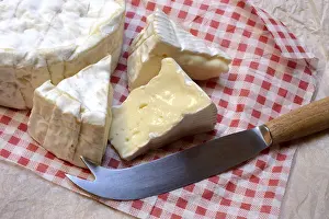 French Camembert in pieces, France