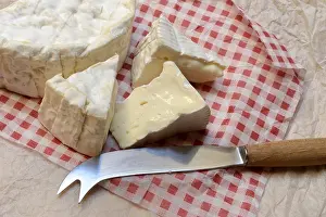 French Camembert in pieces, France