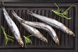Fresh anchovy fish with fresh herbs on grill