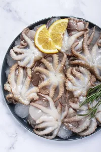 Category Wildlife DE Prints: Fresh baby octopuses on ice, garnished with lemon and rosemary
