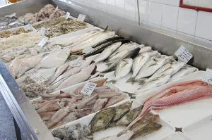 Fresh fish in a refrigerated counter
