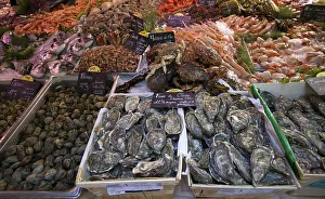 Fresh fish and seafood, oysters