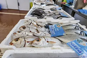 Fresh fish sold on traditional market in Zambujeira do Mar
