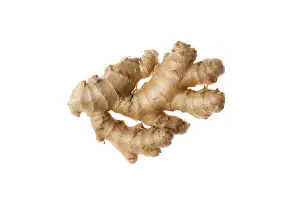 Fresh ginger root isolated on white background