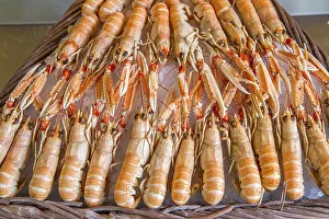 Fresh langoustines at a market in Paris