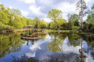 Fresh light green landscape of Japanese garden in Wroclaw
