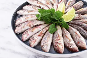 Fresh mullet fish, laid out on a large platter