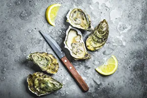 Fresh oysters on ice, knife, lemon wedges