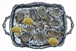 Fresh oysters (Ostreidae) on a tray with lemon