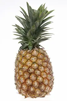 A fresh pineapple, fruit, vitamins