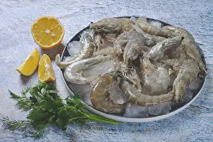 Fresh raw shrimp, spread on ice with lemon and cilantro slices on a marble surface