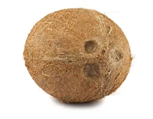 Fresh ripe coconut isolated on white background