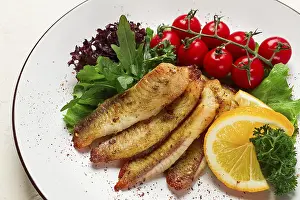 Fried Tilapia fish fillet, in spices
