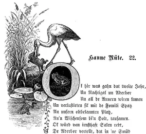 Fritz Reuter (1810) (1874) Low German writer and poet
