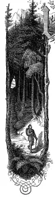 Fritz Reuter (1810) (1874) Low German writer and poet