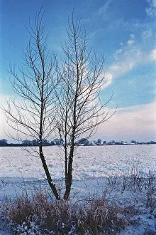 Frozen Elbe, Bleckede, Lower Saxony