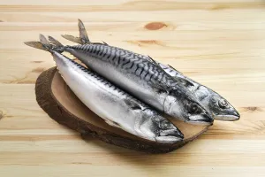 Frozen mackerel on wooden table