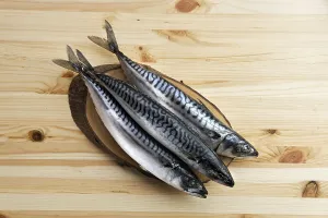 Frozen mackerel on wooden table